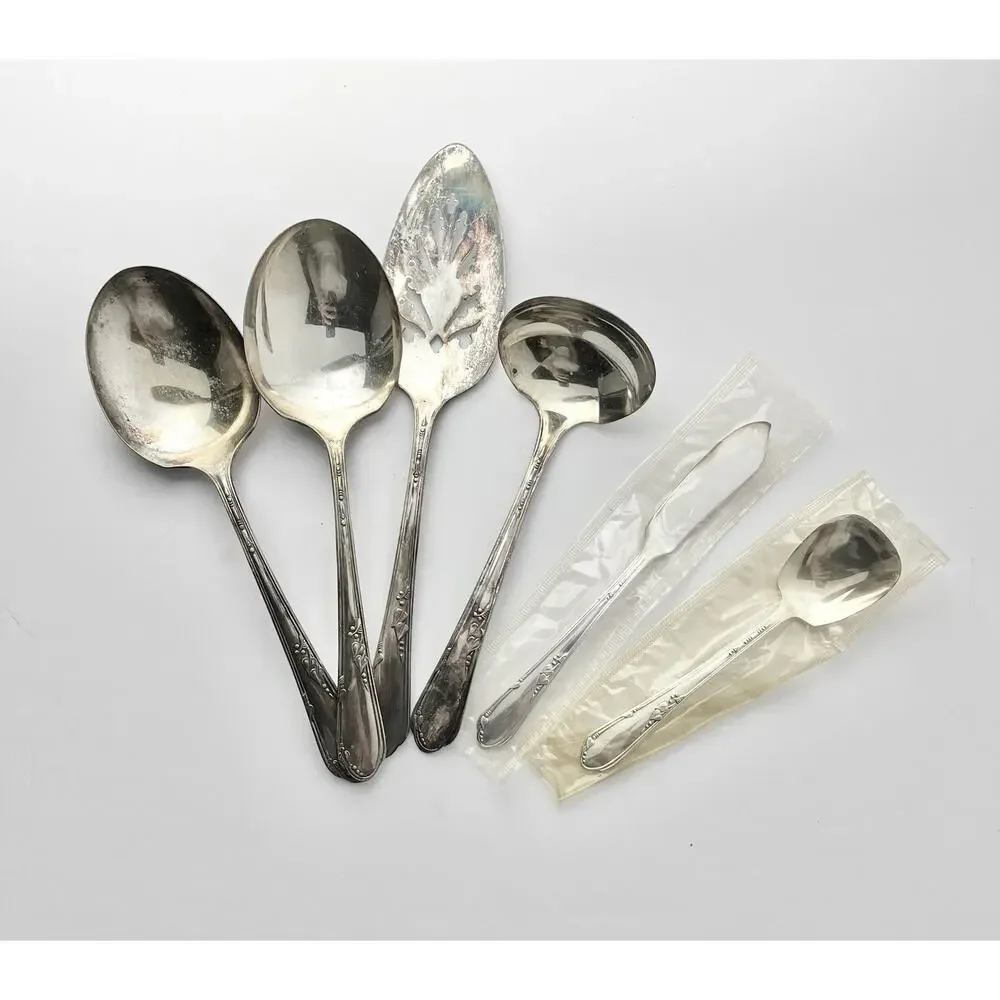 Oneida “Meadowbrook” 108-Piece Silverplate Flatware Set, Service for 16+